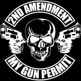 Guns & Ammo 002 2nd Amendment My gun permit