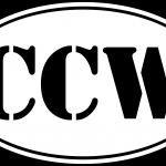 Guns & Ammo 164 CCW