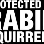 Funny 041 Protected By Rabid Squirrels