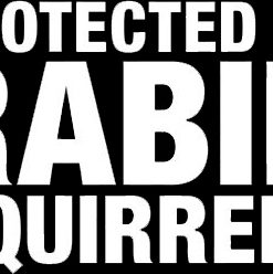 Funny 041 Protected By Rabid Squirrels