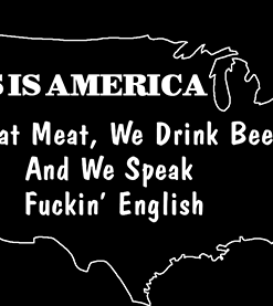Patriotic 14 This Is America