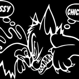 Funny 042 Pussy/Chicken